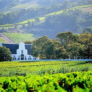 Atlantic Seaboard and Cape Point with Wine Tasting - Private Full-Day Tour - Image 3